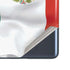 Mexico Flag Galaxy S20 Fan Edition Skin